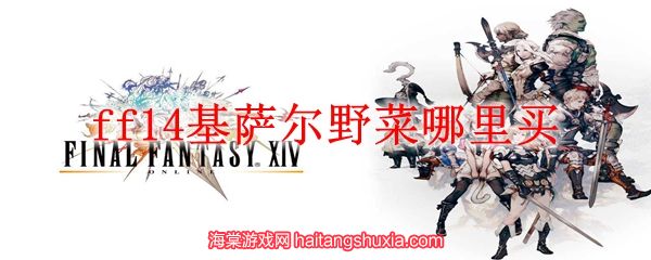 ff14基萨尔野菜哪里买-基萨尔野菜三大购买地点一览  第1张