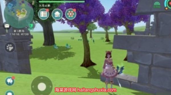 创造与魔法夕阳花位置图-夕阳花刷新时间及必刷点  第10张