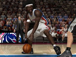 nba2006攻略(NBA2006攻略：锋芒毕露，夺冠之路)  第3张