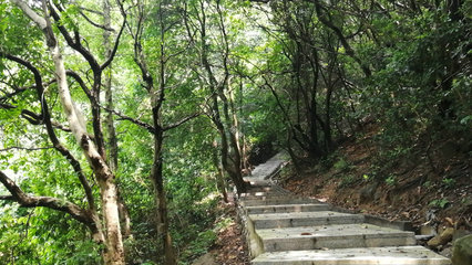 深圳塘朗山登山攻略(深圳塘朗山全程要爬多久)