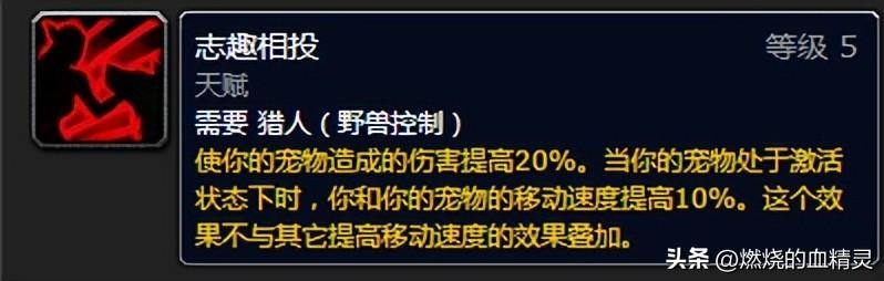 wlk生存猎人输出手法（80版本猎人最强输出天赋）  第33张