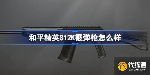 和平精英S12K霰弹枪怎么样 和平精英S12K霰弹枪数据介绍  第1张