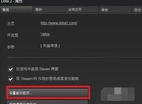 dota2国服启动项怎么设置  第4张