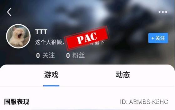 csgo里面的pac是什么意思？（反恐精英：全球攻势）  第2张