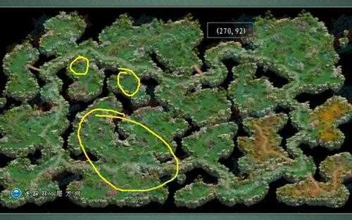 征途2迷踪林怎么去攻略?_征途2迷踪森林怎么玩迷踪森林的怪物分布图文详解